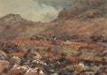 archibald thorburn sheep resting in a grouse moor A4 Photo Print