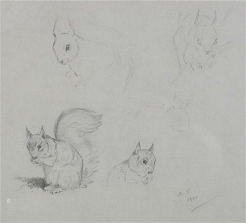 archibald thorburn squirrel study A4 Photo Print