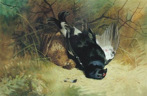 archibald thorburn still life of a pair of blackgame A4 Photo Print