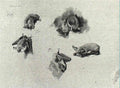 archibald thorburn studies of a bat A4 Photo Print