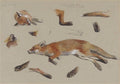 archibald thorburn studies of a fox A4 Photo Print