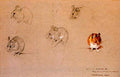 archibald thorburn studies of field mice A4 Photo Print