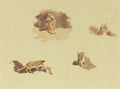 archibald thorburn studies of fox cubs A4 Photo Print