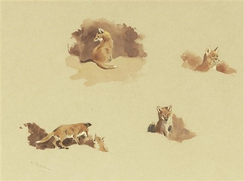 archibald thorburn studies of fox cubs A4 Photo Print