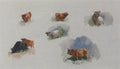 archibald thorburn studies of highland cattle A4 Photo Print