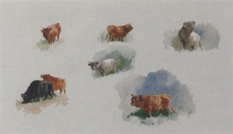 archibald thorburn studies of highland cattle A4 Photo Print