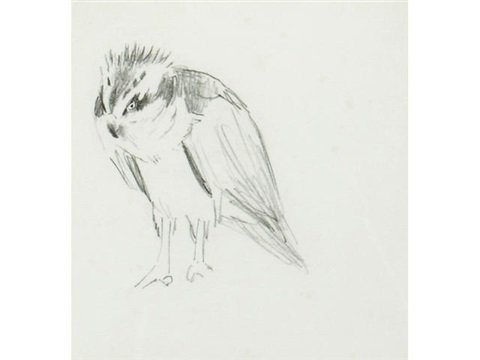 archibald thorburn studies of partridge chicks osprey 2 works A4 Photo Print
