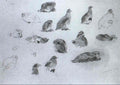 archibald thorburn studies of red grouse A4 Photo Print