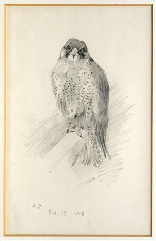 archibald thorburn study of a bird of prey A4 Photo Print