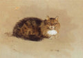 archibald thorburn study of a cat A4 Photo Print