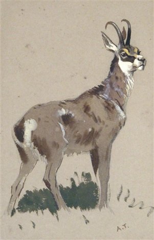 archibald thorburn study of a chamois A4 Photo Print