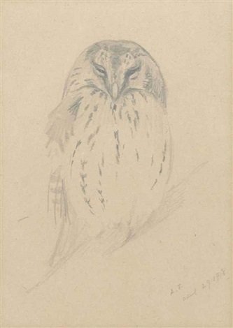 archibald thorburn study of a sleeping owl A4 Photo Print