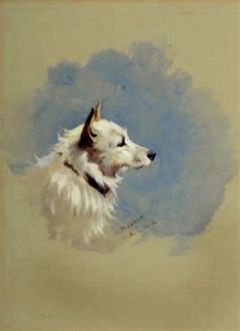archibald thorburn study of a terrier dog A4 Photo Print