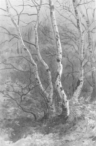 archibald thorburn study of birch trees A4 Photo Print