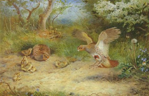 archibald thorburn summer days a partridge family A4 Photo Print