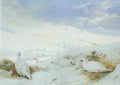 archibald thorburn sunrise over gaick ptarmigan in winter A4 Photo Print