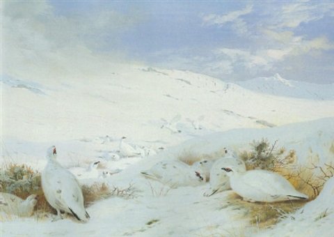 archibald thorburn sunrise over gaick ptarmigan in winter A4 Photo Print