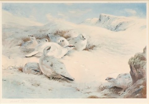 archibald thorburn sunshine and drift on the high tops ptarmigan A4 Photo Print