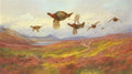 archibald thorburn swerving from the guns  red grouse A4 Photo Print