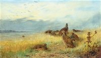 archibald thorburn the call of the grey partridge A4 Photo Print