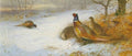 archibald thorburn the close of a winters day pheasants A4 Photo Print
