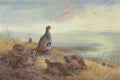 archibald thorburn the covey at sunrise partridge A4 Photo Print