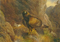 archibald thorburn the eagles domain golden eagles at their eyrie A4 Photo Print