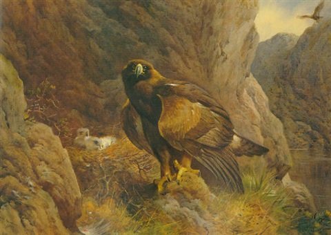 archibald thorburn the eagles domain golden eagles at their eyrie A4 Photo Print