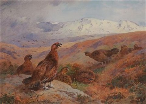 archibald thorburn the end of the season grouse packing A4 Photo Print