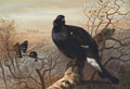 archibald thorburn the evening roost black game A4 Photo Print