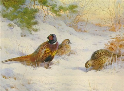archibald thorburn the first touch of winter A4 Photo Print