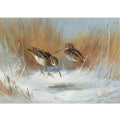 archibald thorburn the frost bound spring snipe in winter A4 Photo Print