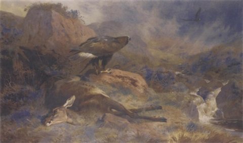 archibald thorburn the lost hind A4 Photo Print