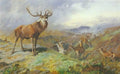archibald thorburn the monarch of the glen red deer A4 Photo Print