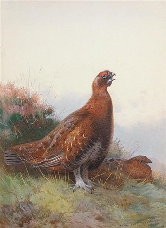 archibald thorburn the morning call A4 Photo Print