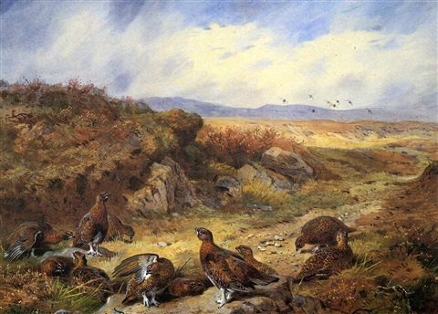 archibald thorburn the old peat track grouse on a moor A4 Photo Print