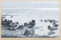 archibald thorburn the punt gunner A4 Photo Print