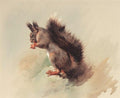 archibald thorburn the red squirrel A4 Photo Print