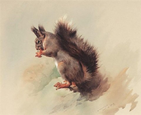 archibald thorburn the red squirrel A4 Photo Print