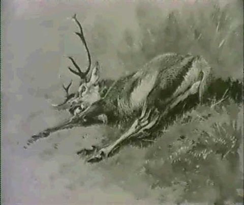 archibald thorburn the stag A4 Photo Print