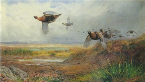 archibald thorburn the twelfth red grouse A4 Photo Print