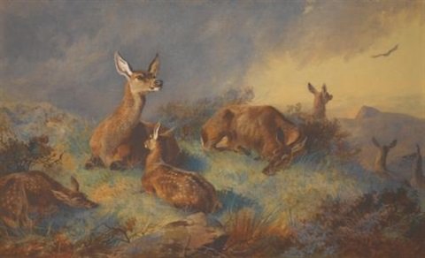 archibald thorburn the watchful hinds A4 Photo Print