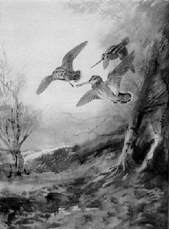 archibald thorburn three woodcock on the wing A4 Photo Print