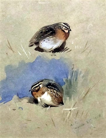 archibald thorburn two quail A4 Photo Print