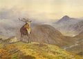 archibald thorburn voices of the forest red deer A4 Photo Print