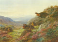 archibald thorburn when the gloaming comes red grouse A4 Photo Print