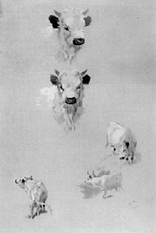 archibald thorburn wild cattle A4 Photo Print