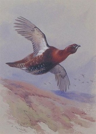 archibald thorburn willow grouse in flight A4 Photo Print
