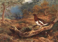 archibald thorburn willow grouse or willow ptarmigan A4 Photo Print