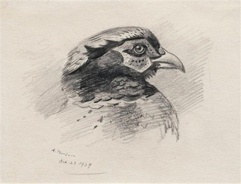 archibald thorburn wing of a grey A4 Photo Print